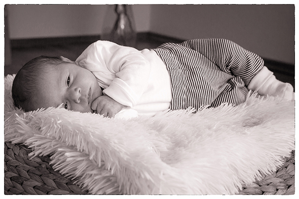 baby quer lb14